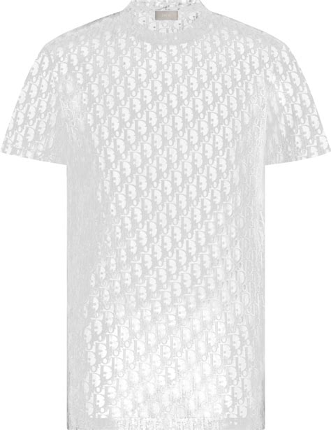 plain white dior t shirt